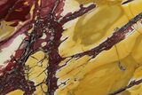 Vibrant, Polished Mookaite Jasper Slab - Australia #198959-1